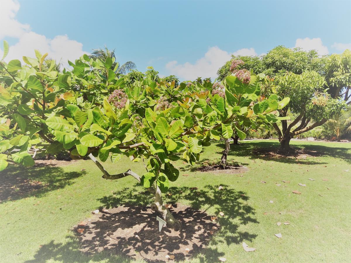 فندق Domaine Saint Francois المظهر الخارجي الصورة
